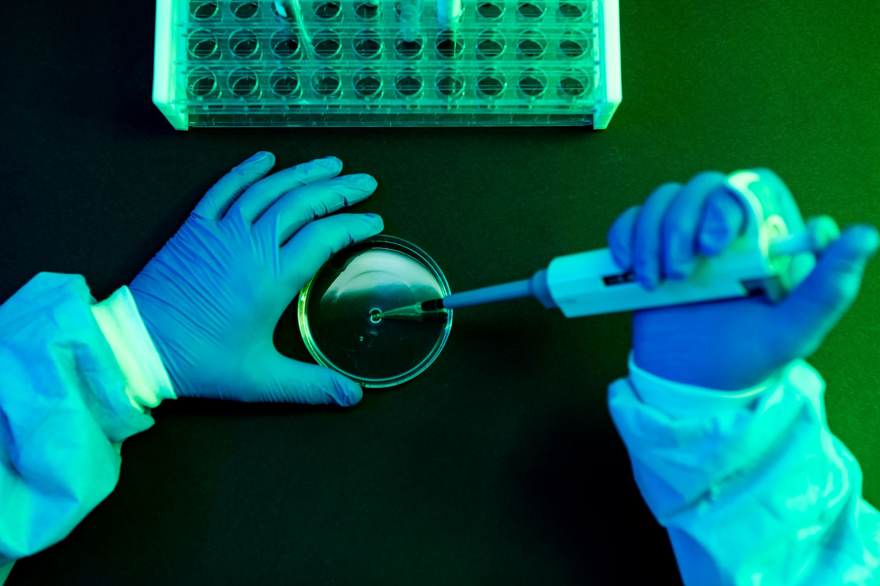 What to Know About Shamonda Virus Following the First Reported Human Infection — Wired, Washington DC Technology news
