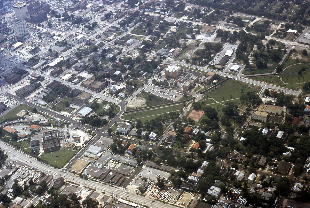 THE JAXSON | The oak tree that remembers Black Bottom — Jacksonville Today, Washington DC Schools news